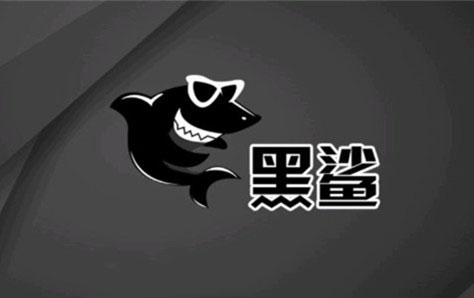 黑鯊裝機大師U盤重裝win10系統詳細教程